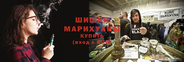 spice Новозыбков