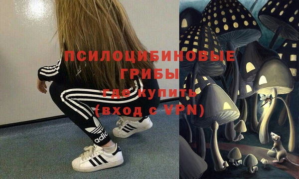 молекула духа Нягань