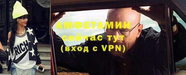 прущие грибы Няндома