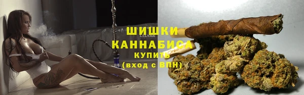 молекула духа Нягань
