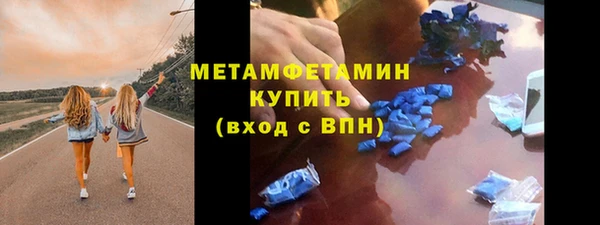 прущие грибы Няндома