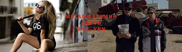 прущие грибы Няндома