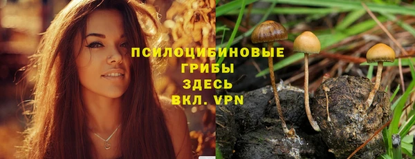 трава Новокубанск