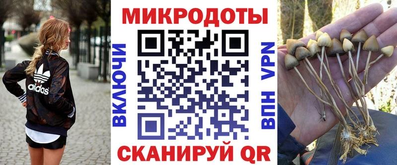 Псилоцибиновые грибы MAGIC MUSHROOMS кракен онион Калининск